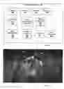 Fig. 02 - Video editor