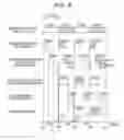 Fig. 09 - Imaging apparatus and image processing system processing image based on detection result of partial region