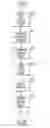 Fig. 09 - Method and apparatus for high bandwidth data transmission in content delivery networks