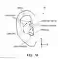 Fig. 02 - Earpieces having flexible flaps