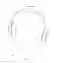 Fig. 06 - Headphones and ear pad