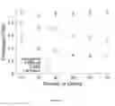 Fig. 19 - Multicell beamforming system and methods for OFDMA small-cell networks