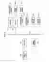 Fig. 09 - Load control unit