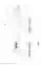 Fig. 07 - Electronic display cabinet