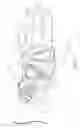 Fig. 02 - WRIST GUARD WITH STIFFENER ELEMENTS