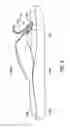 Fig. 03 - Sandal With Adjustable Strap