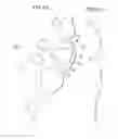 Fig. 07 - STRUCTURE OF FRONT FOOT PORTION OF SHOE SOLE