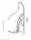 Fig. 02 - ORTHOTIC