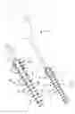 Fig. 02 - Interdental cleaner
