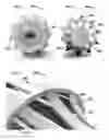 Fig. 03 - Retractable hairbrush system