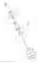 Fig. 02 - Food whisk