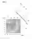 Fig. 08 - Method for determining the physical and/or psychological state of a subject