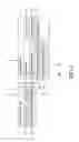 Fig. 02 - Measuring Device for an Analyte