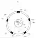 Fig. 01 - Body cavity physiological measurement device