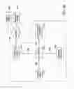 Fig. 46 - APPARATUS FOR PROVIDING DERIVED GLUCOSE INFORMATION UTILIZING NON-INVASIVE PHYSIOLOGICAL SENSORS