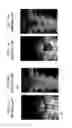 Fig. 06 - X-ray apparatus and method of capturing X-ray image