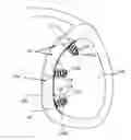 Fig. 01 - SURGICAL DEVICE FOR REPAIRING TISSUE