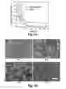 Fig. 04 - NANOFIBROUS CONDUITS FOR NERVE REGENERATION