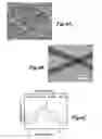 Fig. 05 - NANOFIBROUS CONDUITS FOR NERVE REGENERATION
