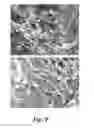 Fig. 13 - NANOFIBROUS CONDUITS FOR NERVE REGENERATION