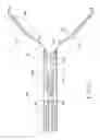 Fig. 09 - Endoscopic hemostatic clipping apparatus