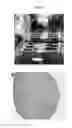 Fig. 34 - Engineered three-dimensional breast tissue, adipose tissue, and tumor disease model