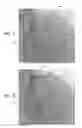 Fig. 03 - Automatic reduction of visibility of portions of an image