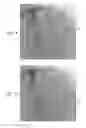 Fig. 04 - Automatic reduction of visibility of portions of an image