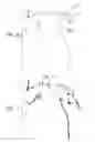 Fig. 05 - Automatic reduction of visibility of portions of an image