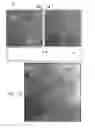 Fig. 09 - Automatic reduction of visibility of portions of an image