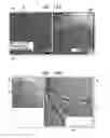 Fig. 11 - Automatic reduction of visibility of portions of an image