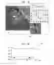Fig. 12 - Automatic reduction of visibility of portions of an image