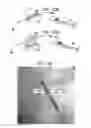 Fig. 15 - Automatic reduction of visibility of portions of an image