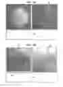 Fig. 16 - Automatic reduction of visibility of portions of an image