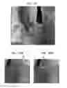 Fig. 22 - Automatic reduction of visibility of portions of an image