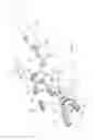 Fig. 02 - Tooth cleaning mechanism