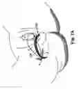 Fig. 10 - Methods and systems for treatment of prolapse