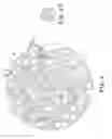 Fig. 05 - Patterned implant and method