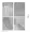 Fig. 05 - Decellularized muscle matrix