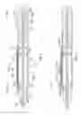 Fig. 04 - Intraocular lens inserter