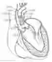 Fig. 01 - Retaining mechanisms for prosthetic heart valves