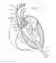Fig. 08 - Retaining mechanisms for prosthetic heart valves
