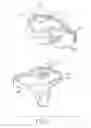 Fig. 27 - Tibial bearing component for a knee prosthesis with improved articular characteristics