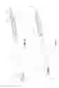 Fig. 14 - Vertebral body replacement