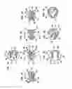 Fig. 05 - Intervertebral disc and insertion methods therefor