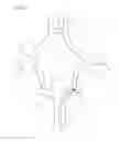 Fig. 07 - Protuberant aneurysm bridging device deployment method