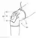Fig. 01 - MULTIFUNCTIONAL MASSAGE JOINT PROTECTOR