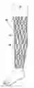 Fig. 01 - Orthopedic Cast