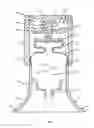 Fig. 03 - Dropper of eye drops