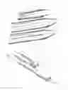 Fig. 08 - Ophthalmic surgical device for accessing tissue and for performing a capsulotomy